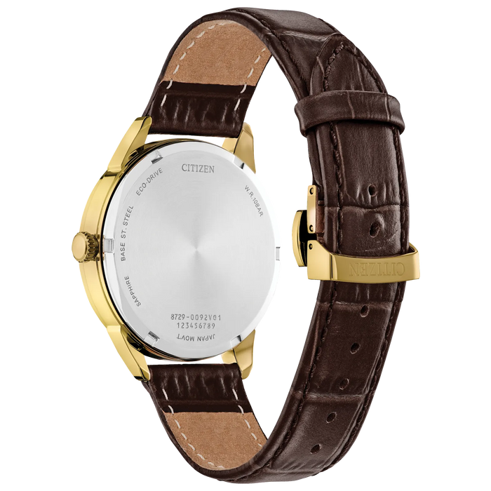 Citizen Rolan Eco-Drive Watch, Gold-Tone with Leather Strap