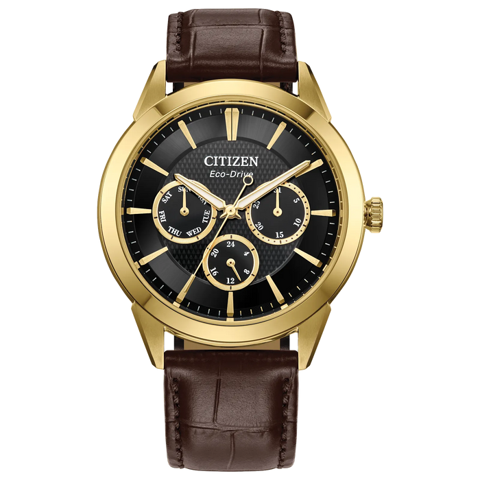 Citizen Rolan Eco-Drive Watch, Gold-Tone with Leather Strap