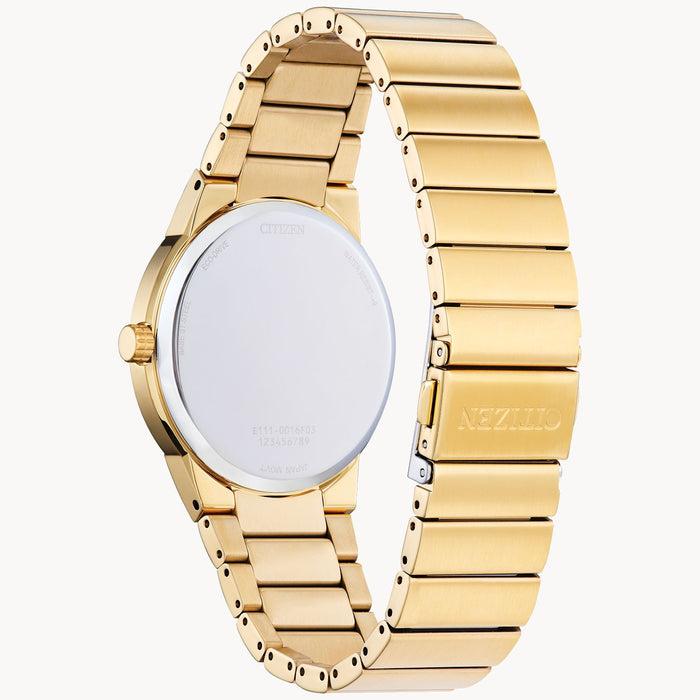 Citizen Axiom Eco-Drive Watch, Gold-Tone with Black Dial
